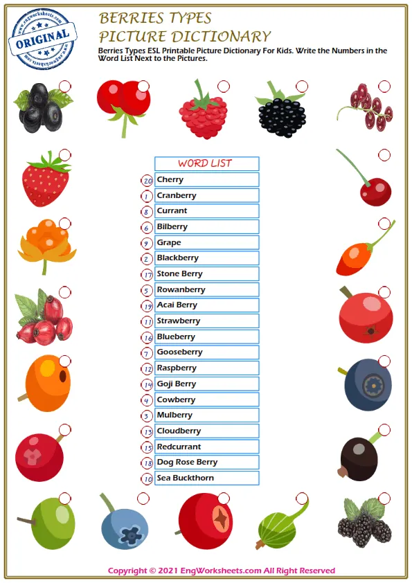Berries Types ESL Printable Picture Dictionary For Kids. Write the Numbers in the Word List Next to the Pictures. Worksheet Preview
