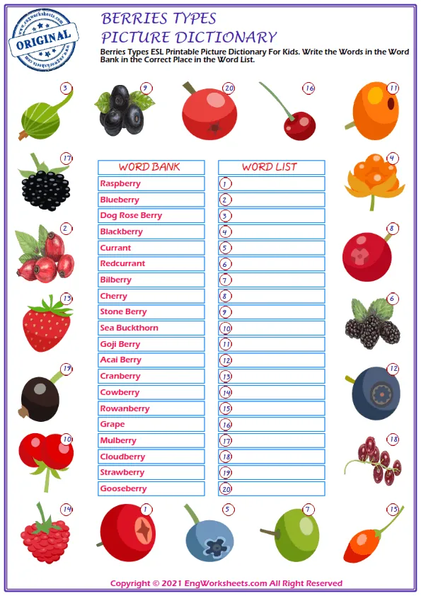 Berries Types ESL Printable Picture Dictionary For Kids. Write the Words in the Word Bank in the Correct Place in the Word List. Worksheet Preview