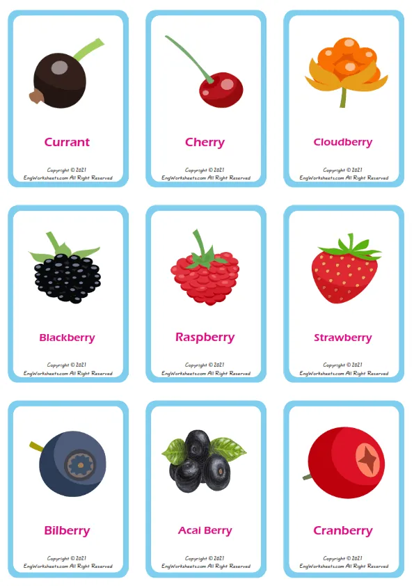 Berries Types vocabulary worksheet with words, nine images per page