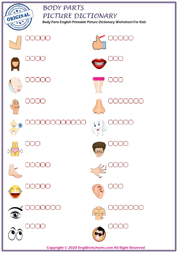 Body Parts English Printable Picture Dictionary Worksheet For Kids Worksheet Preview