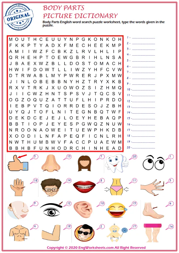 Body Parts English word search puzzle worksheet, type the words given in the puzzle. Worksheet Preview