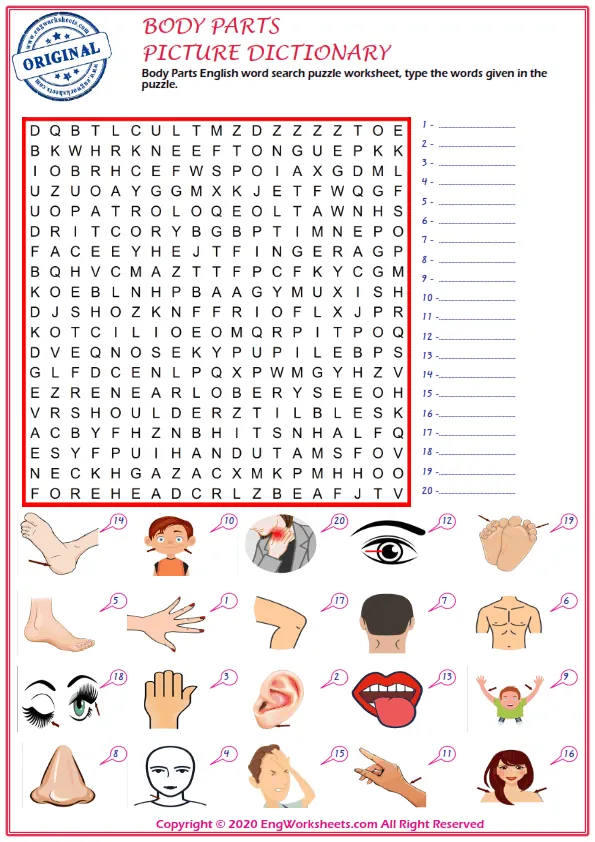 Body Parts English word search puzzle worksheet, type the words given in the puzzle. Worksheet Preview