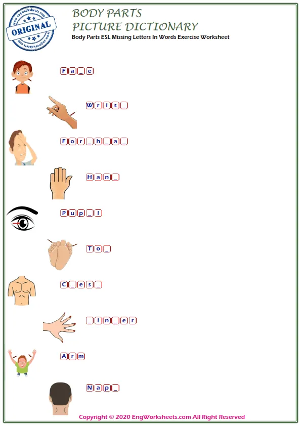 Body Parts ESL Missing Letters In Words Exercise Worksheet Worksheet Preview