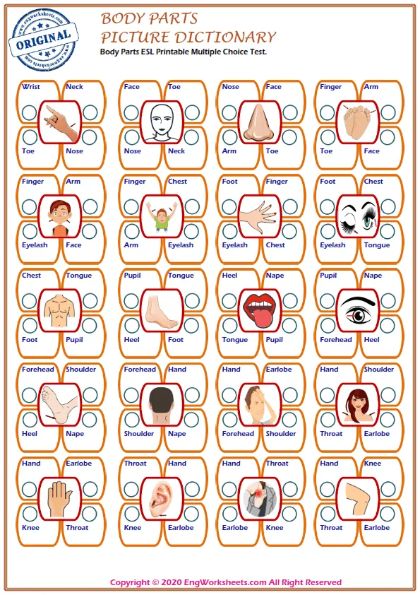 Body Parts ESL Printable Multiple Choice Test. Worksheet Preview