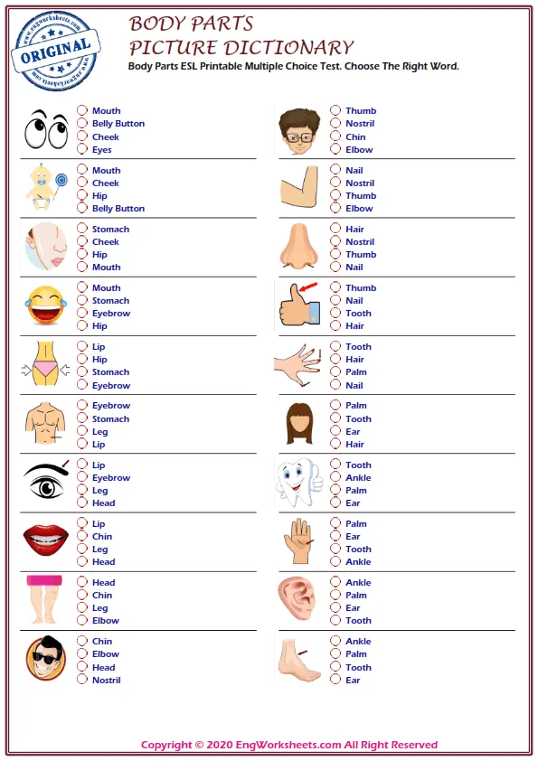 Body Parts ESL Printable Multiple Choice Test. Choose The Right Word. Worksheet Preview