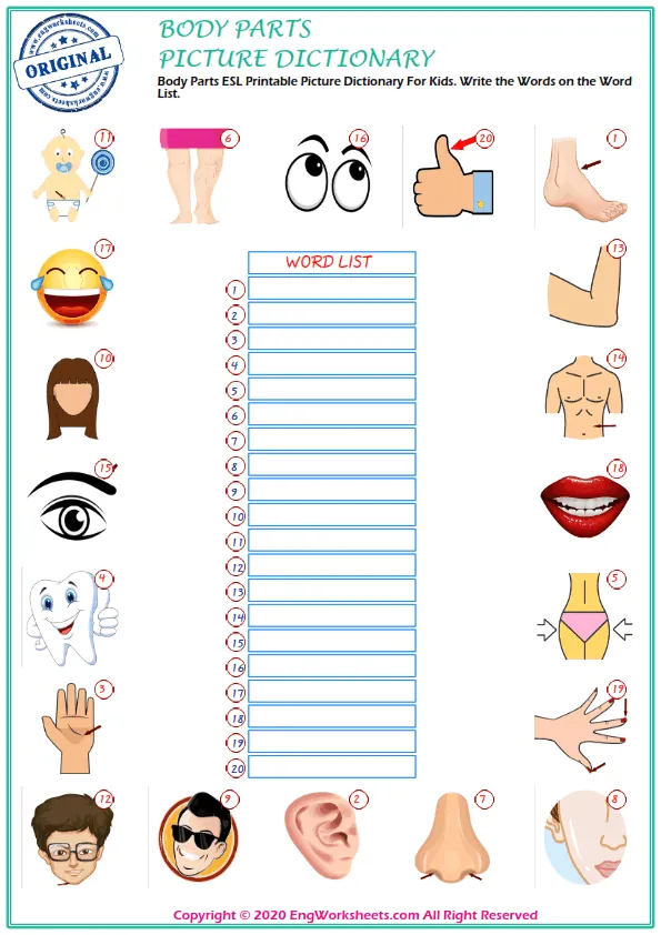 Body Parts ESL Printable Picture Dictionary For Kids. Write the Words on the Word List. Worksheet Preview