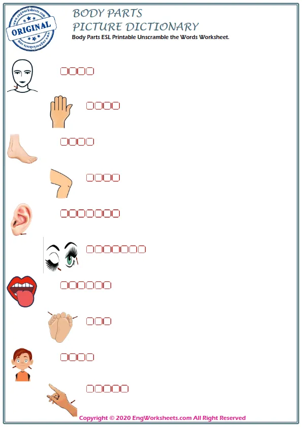 Body Parts ESL Printable Unscramble the Words Worksheet. Worksheet Preview