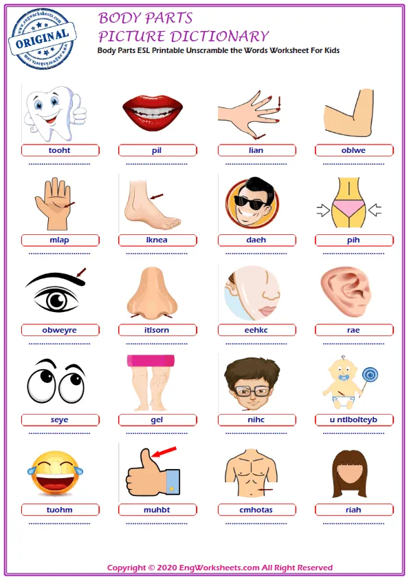 Body Parts ESL Printable Unscramble the Words Worksheet For Kids Worksheet Preview