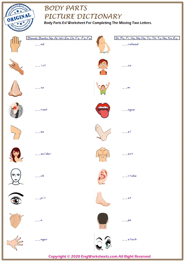 Body Parts Esl Worksheet For Completing The Missing Two Letters. Worksheet Preview