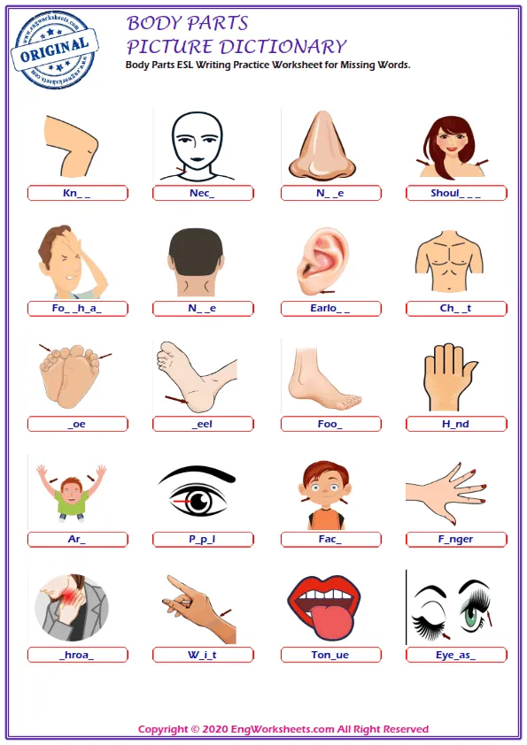 Body Parts ESL Writing Practice Worksheet for Missing Words. Worksheet Preview