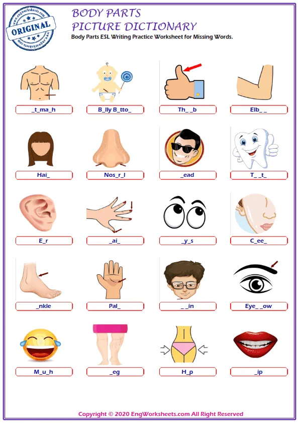 Body Parts ESL Writing Practice Worksheet for Missing Words. Worksheet Preview