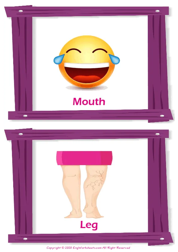 Body Parts vocabulary worksheet with words, two images per page Worksheet Preview