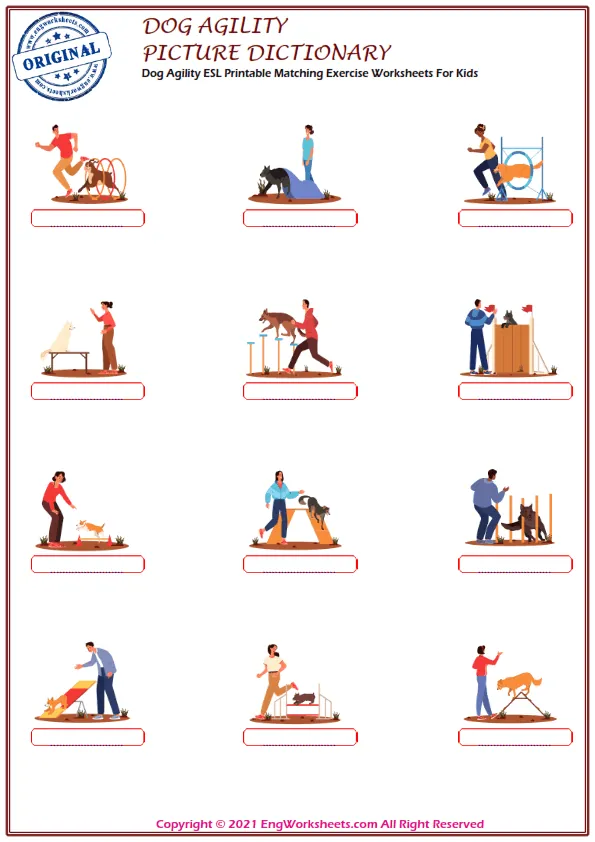 Dog Agility ESL Printable Matching Exercise Worksheets For Kids Worksheet Preview
