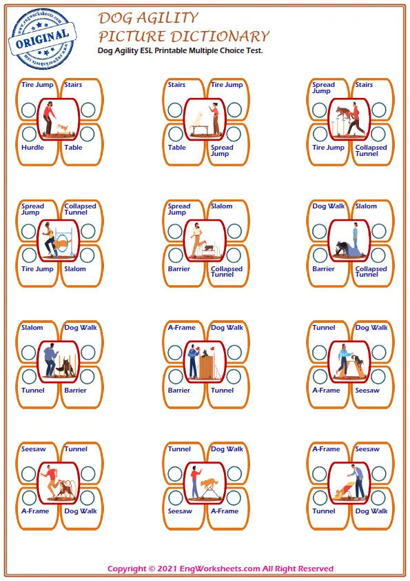 Dog Agility ESL Printable Multiple Choice Test. Worksheet Preview