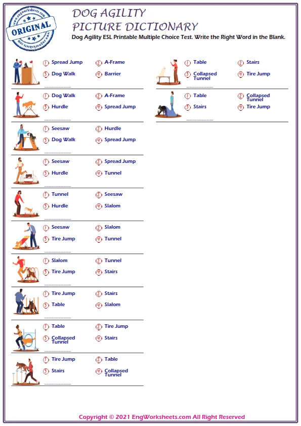 Dog Agility ESL Printable Multiple Choice Test. Write the Right Word in the Blank. Worksheet Preview