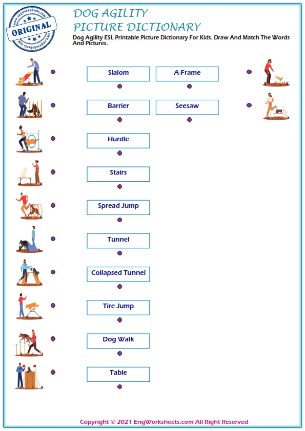 Dog Agility ESL Printable Picture Dictionary For Kids. Draw And Match The Words And Pictures. Worksheet Preview