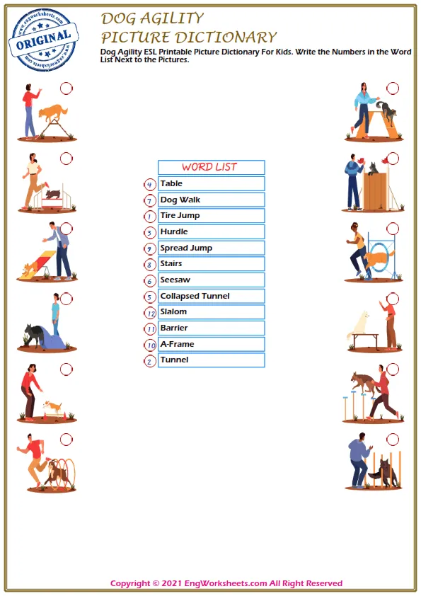 Dog Agility ESL Printable Picture Dictionary For Kids. Write the Numbers in the Word List Next to the Pictures. Worksheet Preview