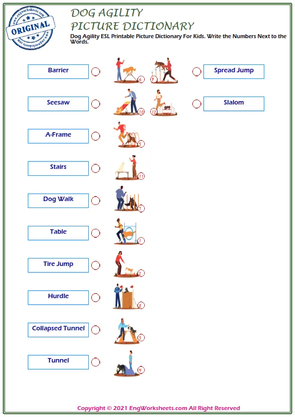 Dog Agility ESL Printable Picture Dictionary For Kids. Write the Numbers Next to the Words. Worksheet Preview