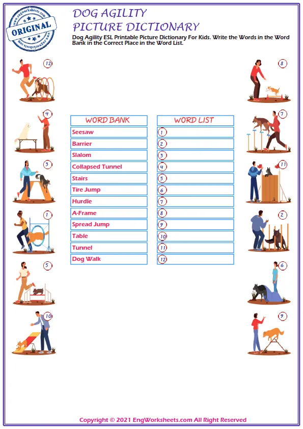 Dog Agility ESL Printable Picture Dictionary For Kids. Write the Words in the Word Bank in the Correct Place in the Word List. Worksheet Preview