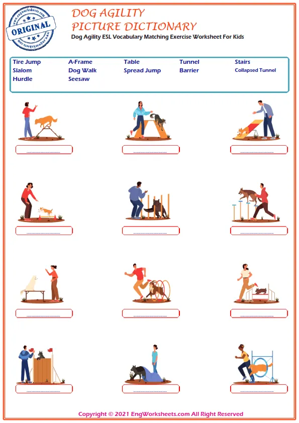 Dog Agility ESL Vocabulary Matching Exercise Worksheet For Kids Worksheet Preview