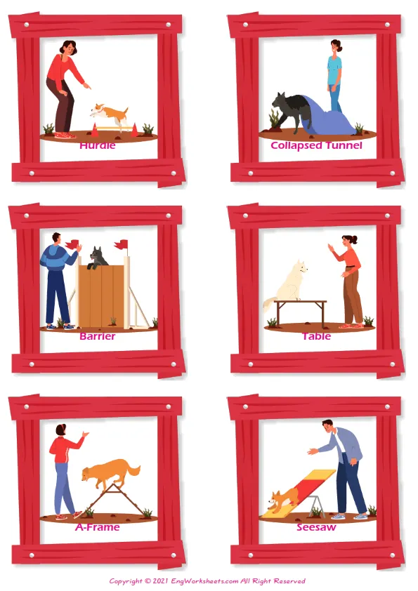 Dog Agility vocabulary worksheet with words, six images per page Worksheet Preview