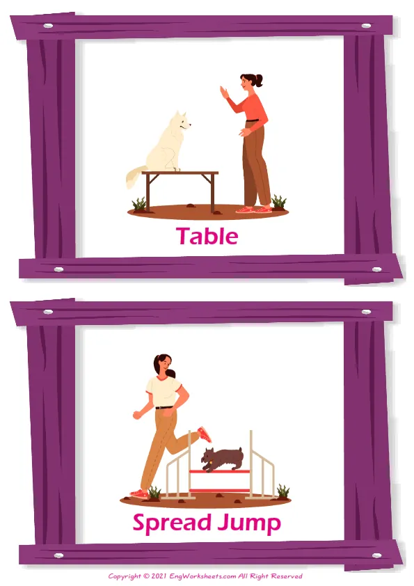 Dog Agility vocabulary worksheet with words, two images per page Worksheet Preview