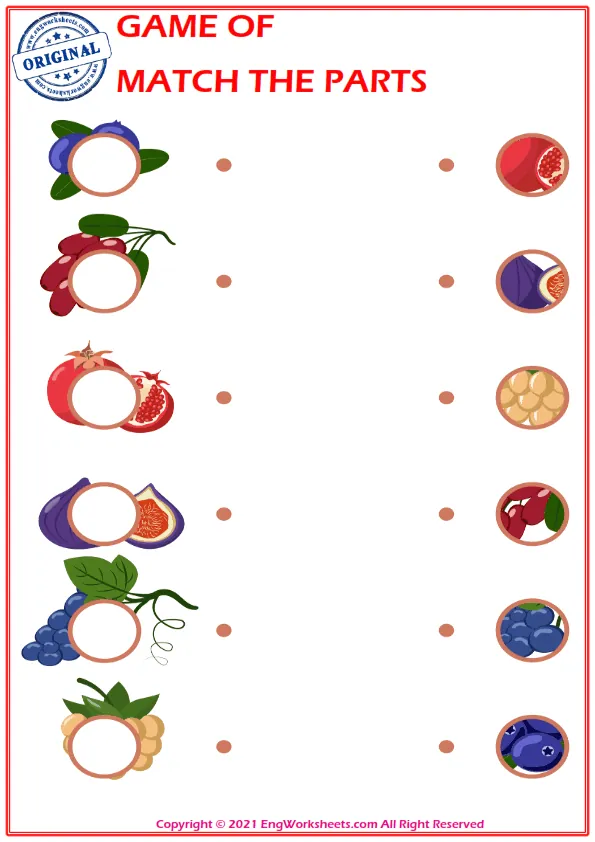 Education worksheet with match the parts Worksheet Preview