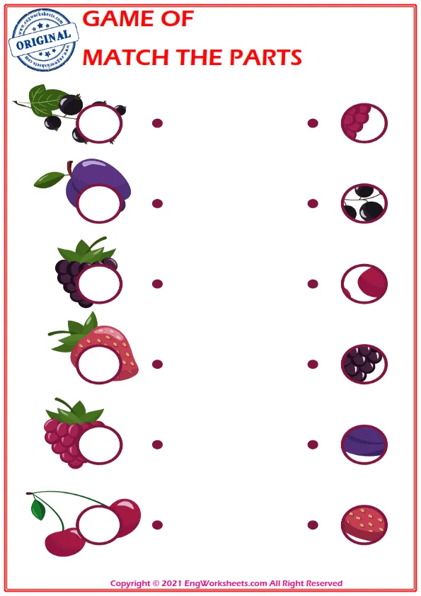 Education worksheet with match the parts Worksheet Preview
