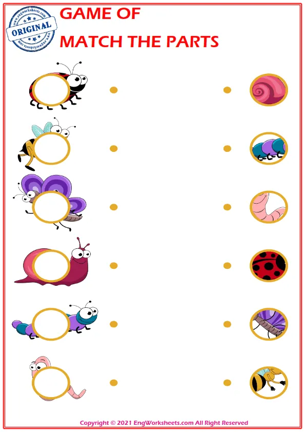 Education worksheet with match the parts Worksheet Preview