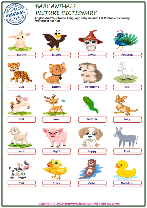 Baby Animals ESL Printable Picture Dictionary For Kids. Write the Numbers Next to the Words.