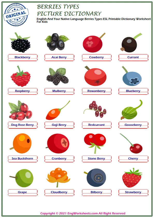 English And Your Native Language Berries Types ESL Printable Dictionary Worksheet For Kids Worksheet Preview