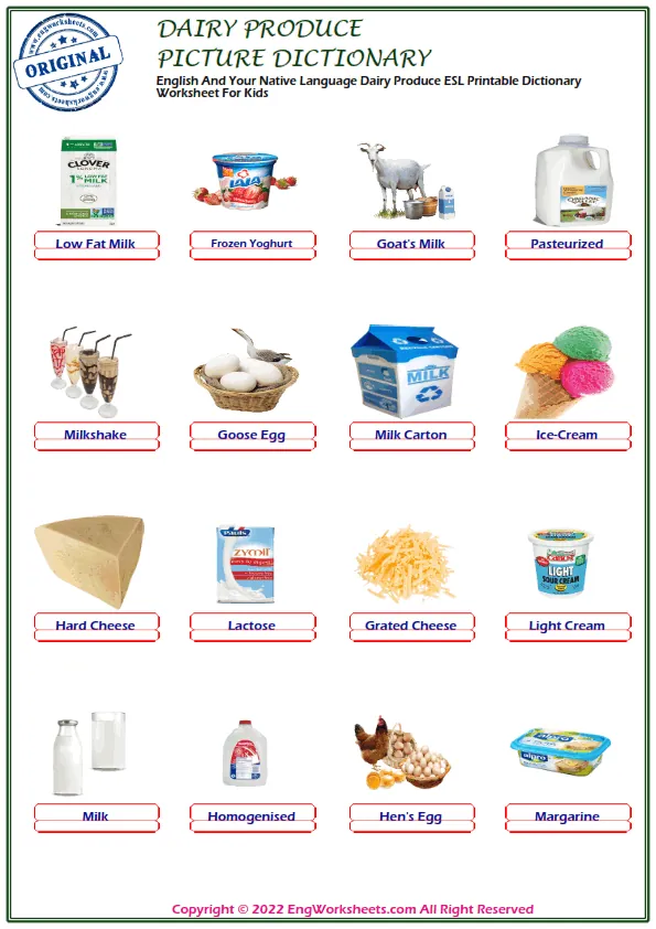English And Your Native Language Dairy Produce ESL Printable Dictionary Worksheet For Kids Worksheet Preview