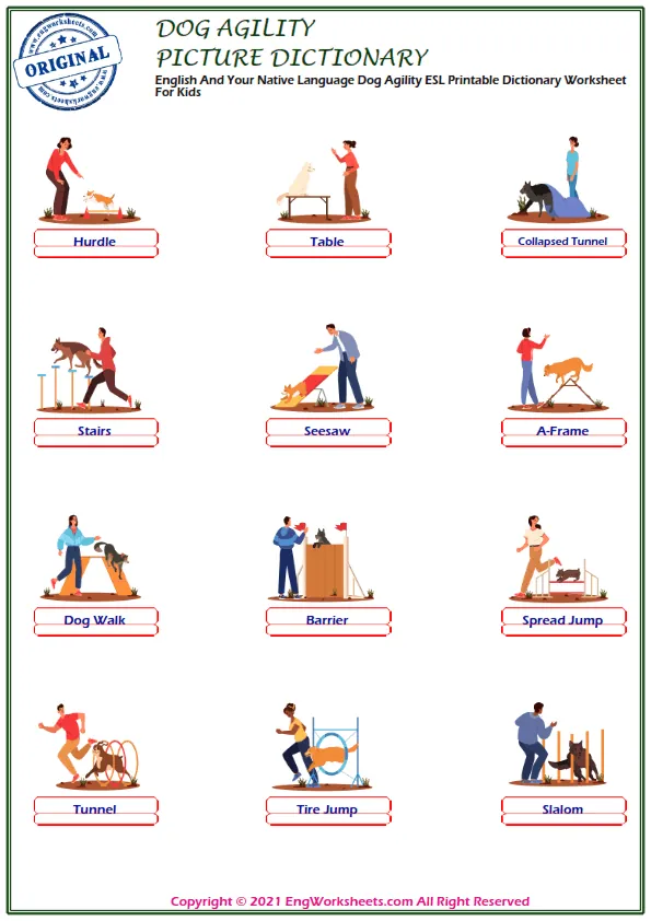 English And Your Native Language Dog Agility ESL Printable Dictionary Worksheet For Kids Worksheet Preview