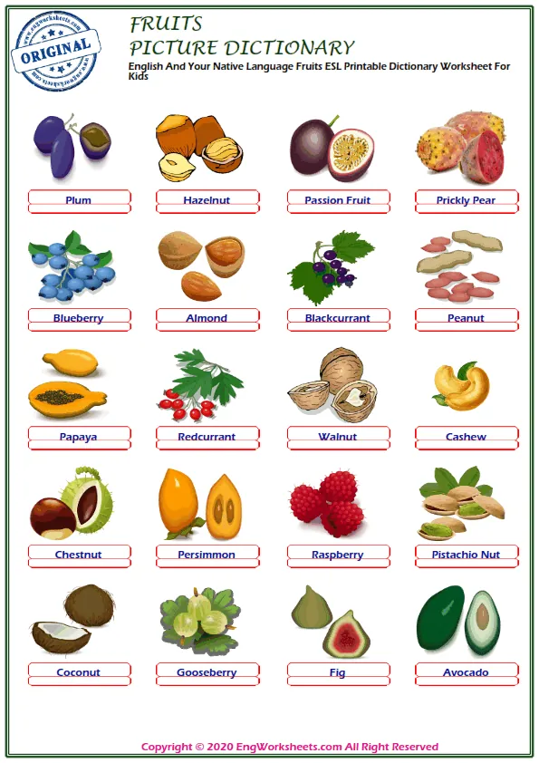 English And Your Native Language Fruits ESL Printable Dictionary Worksheet For Kids Worksheet Preview