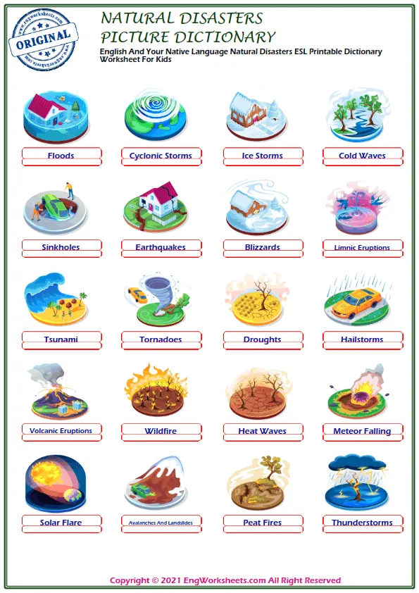 English And Your Native Language Natural Disasters ESL Printable Dictionary Worksheet For Kids Worksheet Preview