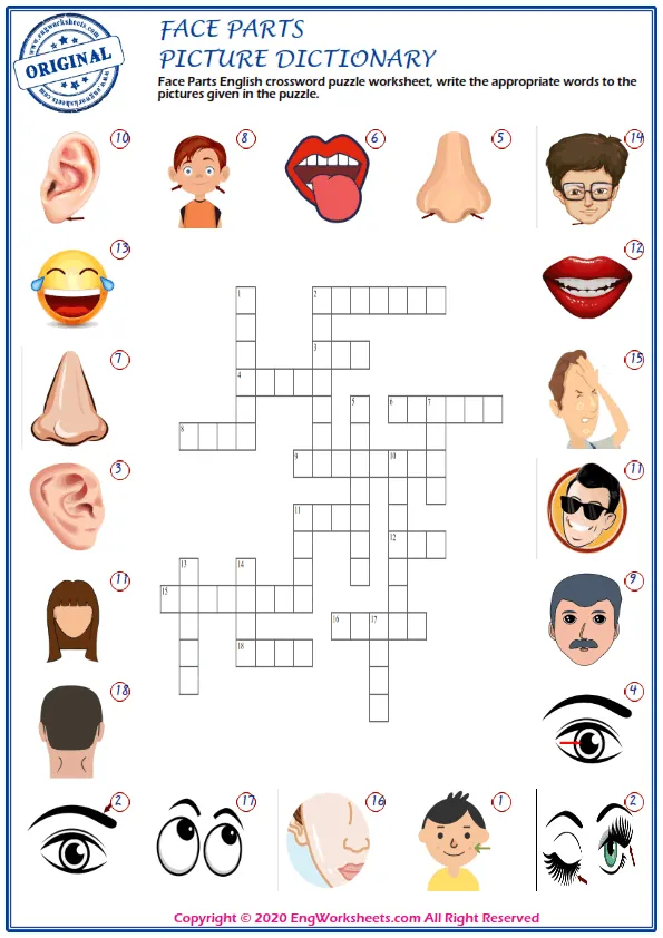 Face Parts English crossword puzzle worksheet, write the appropriate words to the pictures given in the puzzle. Worksheet Preview