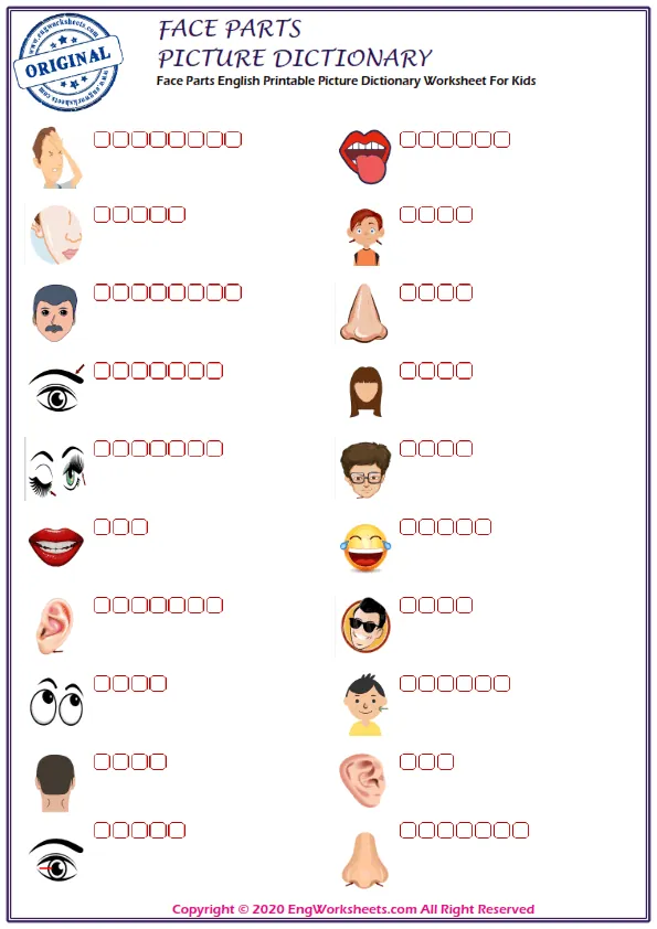 Face Parts English Printable Picture Dictionary Worksheet For Kids Worksheet Preview