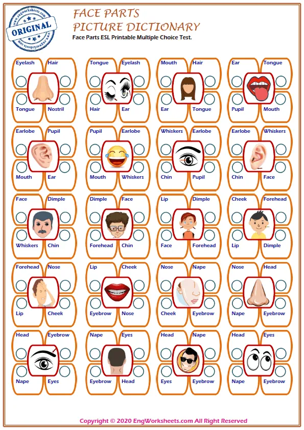 Face Parts ESL Printable Multiple Choice Test. Worksheet Preview
