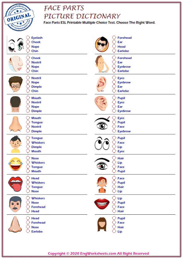 Face Parts ESL Printable Multiple Choice Test. Choose The Right Word. Worksheet Preview