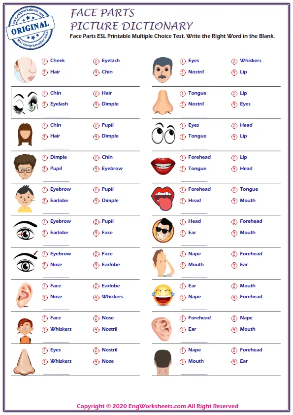 Face Parts ESL Printable Multiple Choice Test. Write the Right Word in the Blank. Worksheet Preview