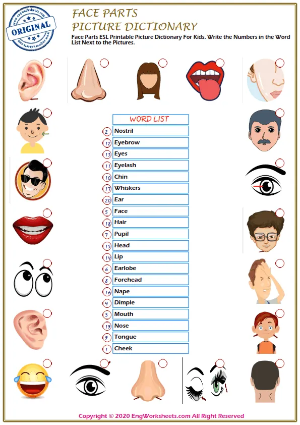 Face Parts ESL Printable Picture Dictionary For Kids. Write the Numbers in the Word List Next to the Pictures. Worksheet Preview