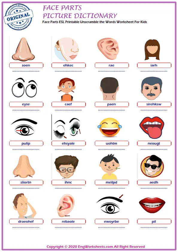 Face Parts ESL Printable Unscramble the Words Worksheet For Kids Worksheet Preview