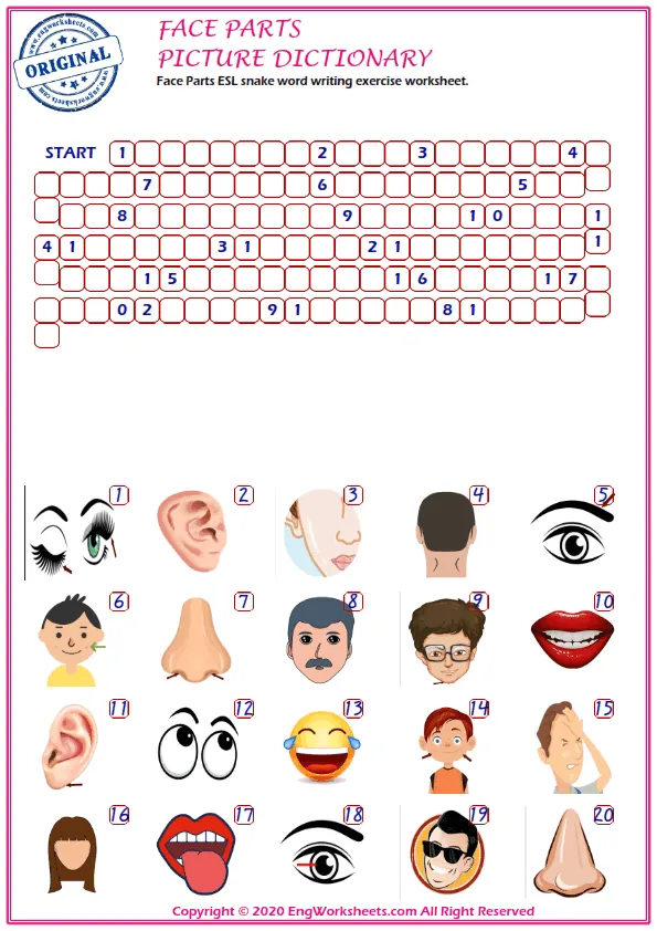 Face Parts ESL snake word writing exercise worksheet. Worksheet Preview