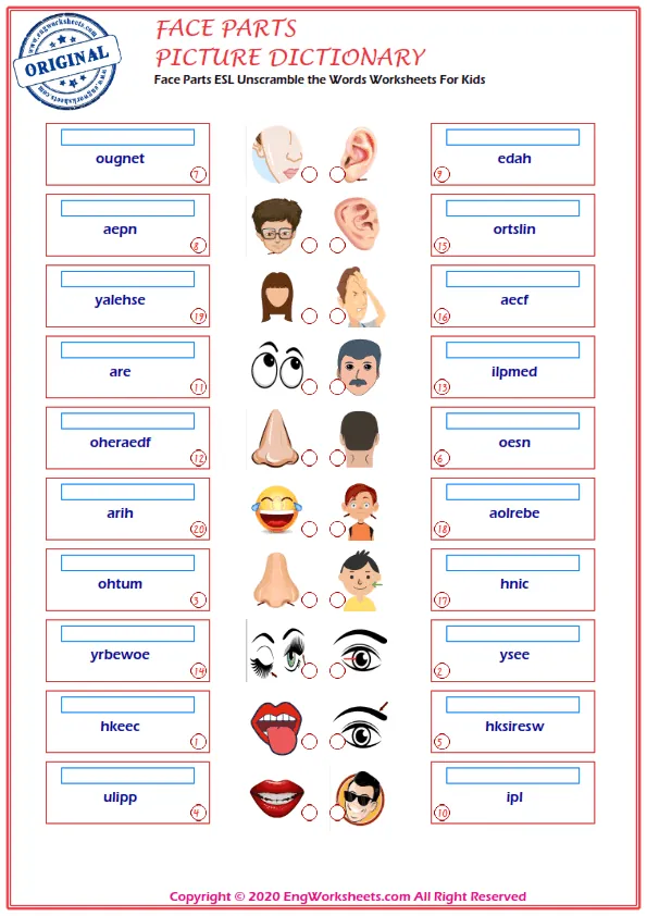Face Parts ESL Unscramble the Words Worksheets For Kids Worksheet Preview