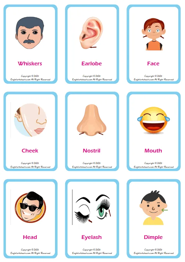 Face Parts vocabulary worksheet with words, nine images per page Worksheet Preview