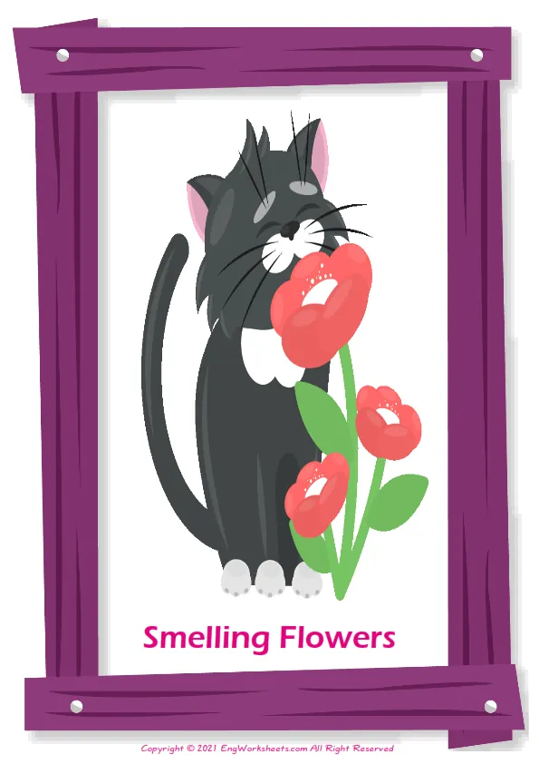 Feelings And Emotions English vocabulary worksheet with full-page words