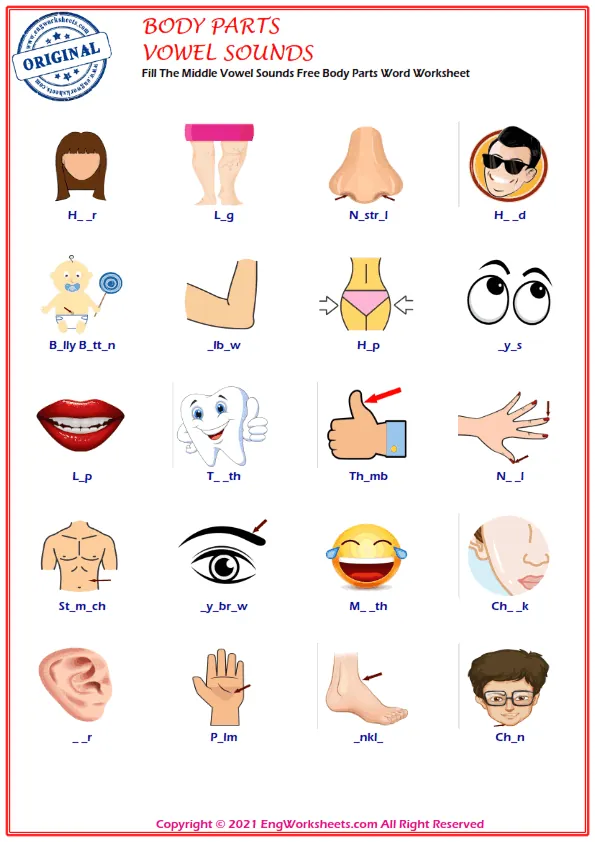 Fill The Middle Vowel Sounds Free Body Parts Word Worksheet Worksheet Preview
