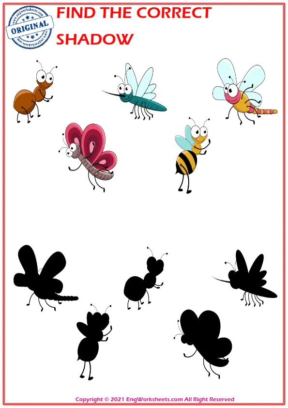 Find the correct shadow educational matching game worksheets for children