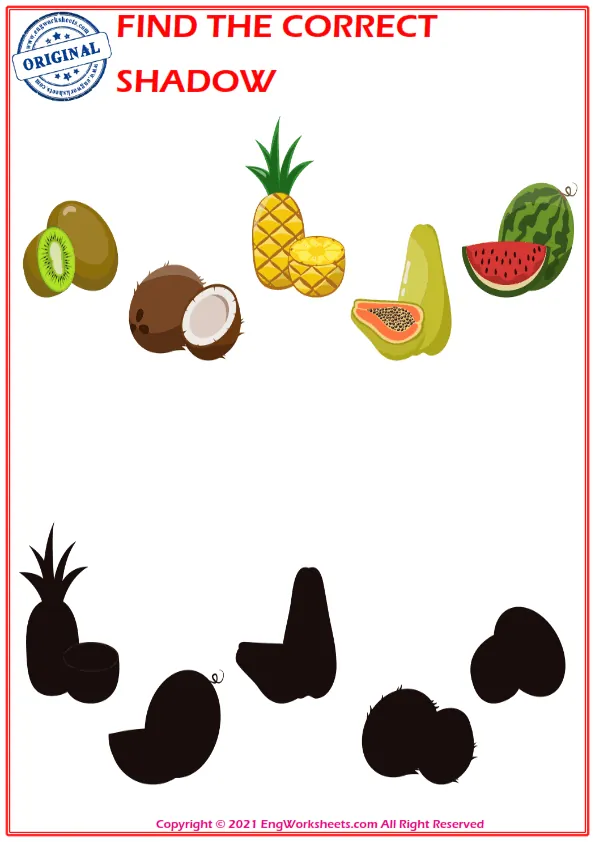Find the correct shadow educational matching game worksheets for children