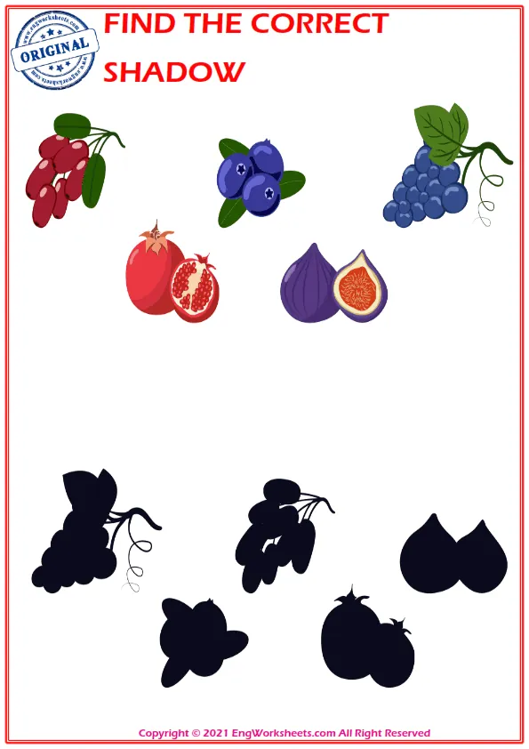 Find the correct shadow educational matching game worksheets for children